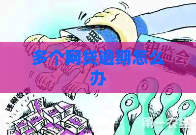 多个网贷逾期怎么办