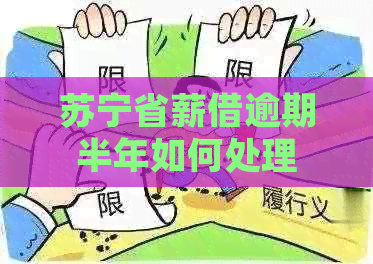苏宁省薪借逾期半年如何处理 苏宁省薪借逾期半年如何处理