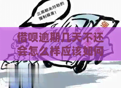 信用卡逾期几天不还会怎么样应该如何处理