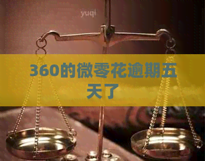 360的微零花逾期五天了