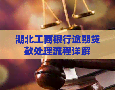 湖北工商银行逾期贷款处理流程详解