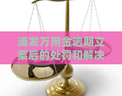 浦发万用金逾期立案后的处罚和解决办法