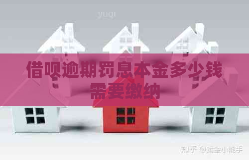 信用卡逾期罚息本金多少钱需要缴纳