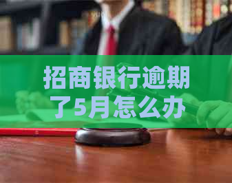 招商银行逾期了5月怎么办