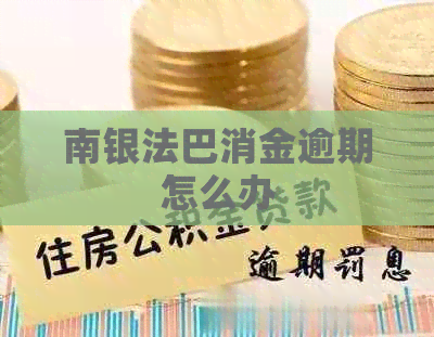 南银法巴消金逾期怎么办