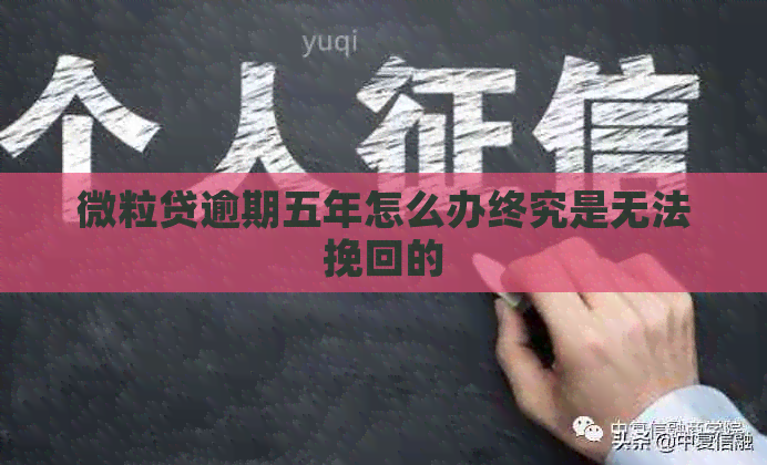 微粒贷逾期五年怎么办终究是无法挽回的