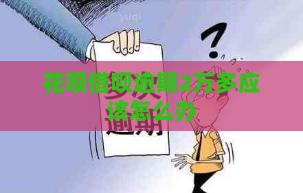 白条信用卡逾期2万多应该怎么办