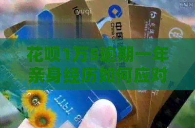 白条1万5逾期一年亲身经历如何应对