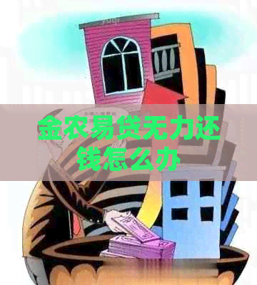 金农易贷无力还钱怎么办