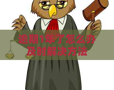 逾期1年了怎么办及时解决方法
