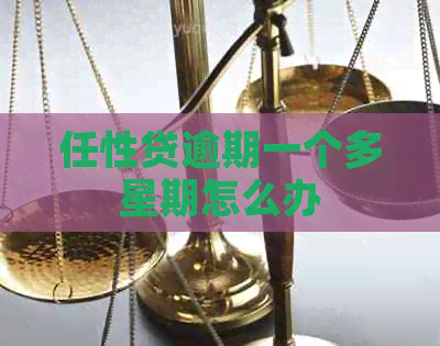 任性贷逾期一个多星期怎么办