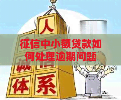 中小额贷款如何处理逾期问题