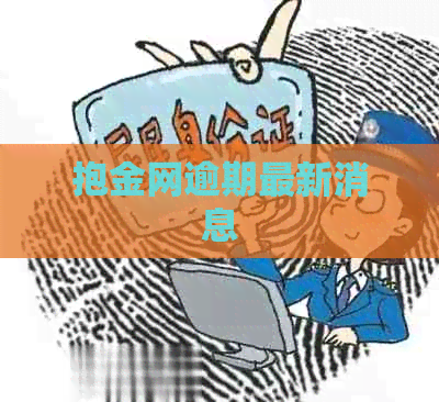 抱金网逾期最新消息