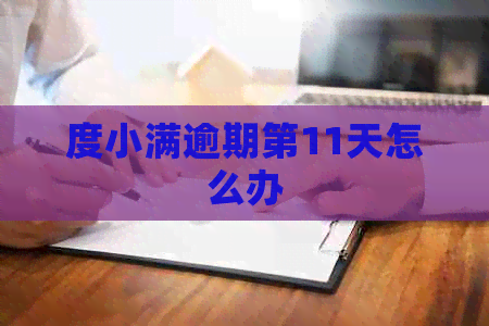 度小满逾期第11天怎么办