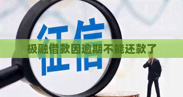 极融借款因逾期不能还款了