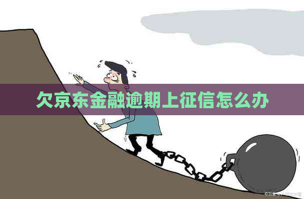 欠京东金融逾期上怎么办