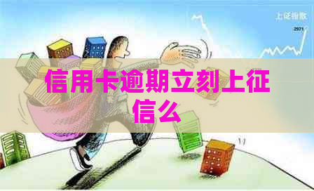 信用卡逾期立刻上么