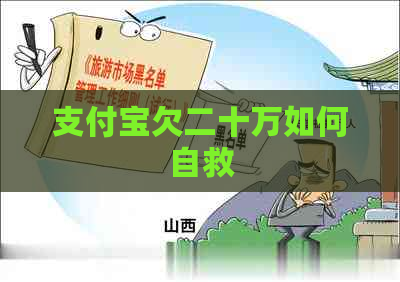 信用卡欠二十万如何自救