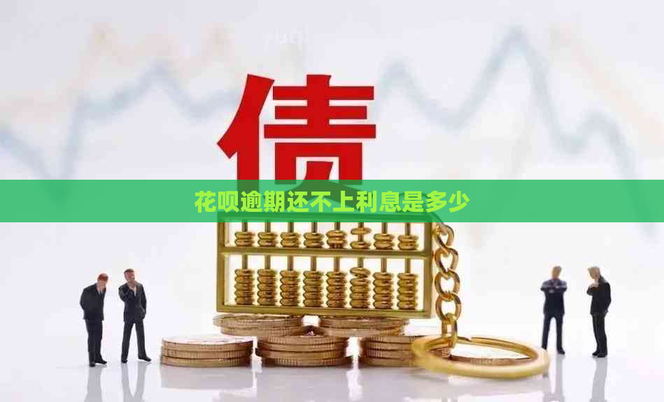 白条逾期还不上利息是多少