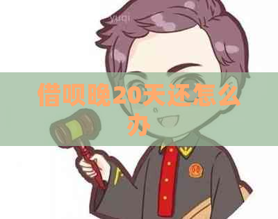 信用卡晚20天还怎么办