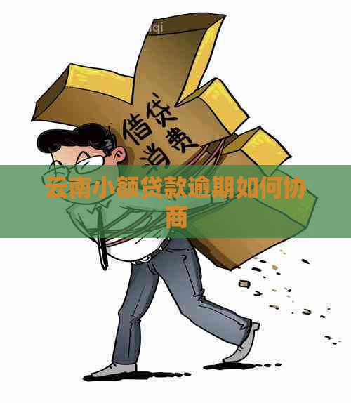 云南小额贷款逾期如何协商
