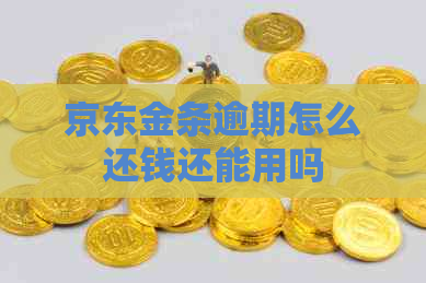 京东金条逾期怎么还钱还能用吗