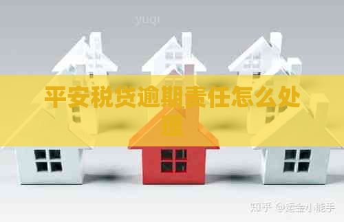 平安税贷逾期责任怎么处理