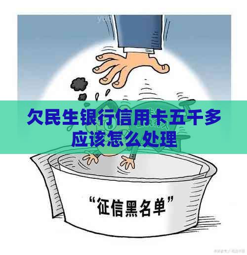 欠民生银行信用卡五千多应该怎么处理