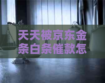 天天被京东金条白条催款怎么办有效解决方法