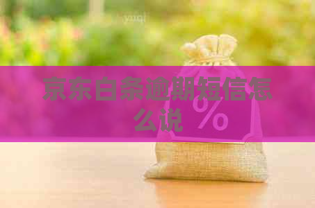 京东白条逾期短信怎么说