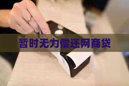 暂时无力偿还白条贷