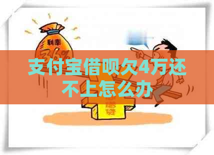 支付宝借呗欠4万还不上怎么办