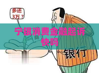 宁银消费金融起诉快吗