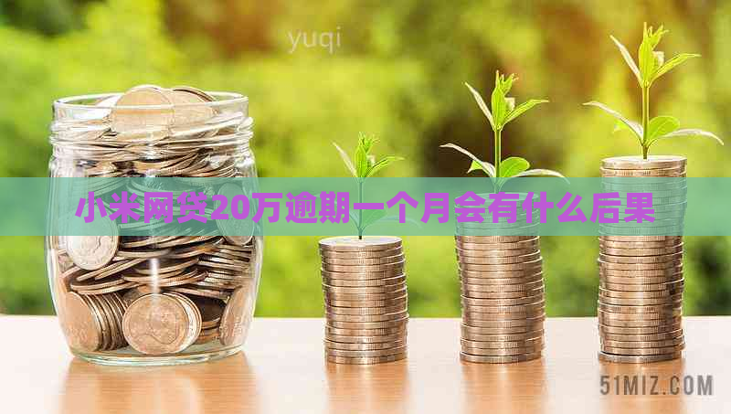 小米网贷20万逾期一个月会有什么后果