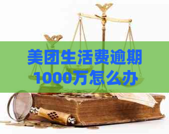 美团生活费逾期1000万怎么办