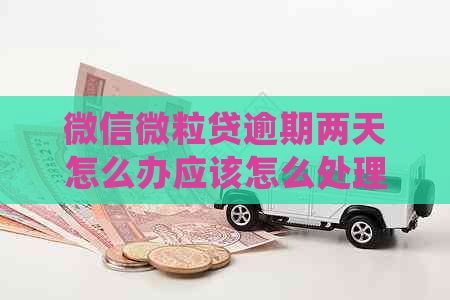 微信微粒贷逾期两天怎么办应该怎么处理