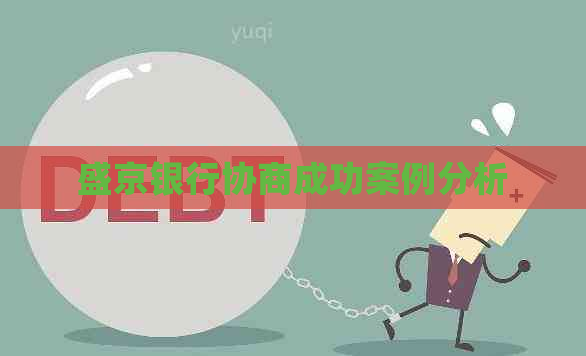 盛京银行协商成功案例分析