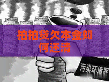 欠本金如何还清