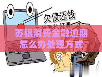 苏银消费金融逾期怎么办处理方式