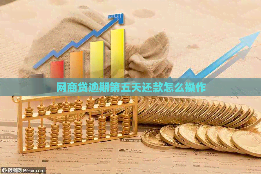 白条贷逾期第五天还款怎么操作