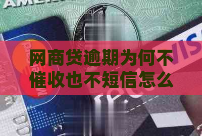 白条贷逾期为何不也不短信怎么处理