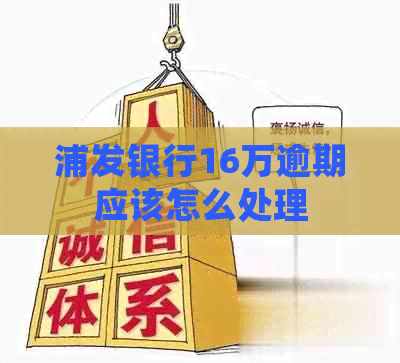 浦发银行16万逾期应该怎么处理