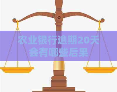 农业银行逾期20天会有哪些后果