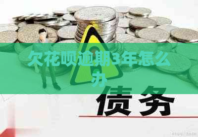 欠白条逾期3年怎么办