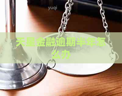 天星金融逾期半年怎么办