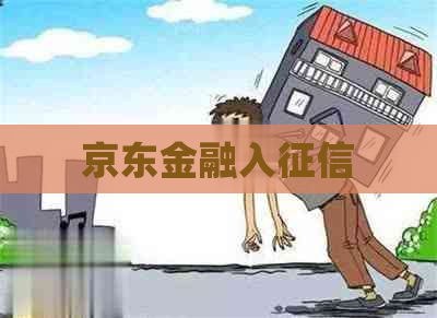 京东金融入