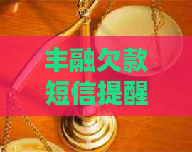 丰融欠款短信提醒如何处理