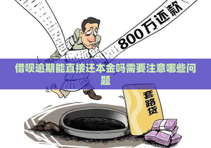 信用卡逾期能直接还本金吗需要注意哪些问题