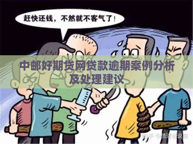 中邮好期贷网贷款逾期案例分析及处理建议