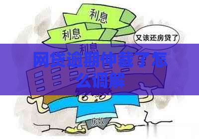 网贷逾期仲裁了怎么调解